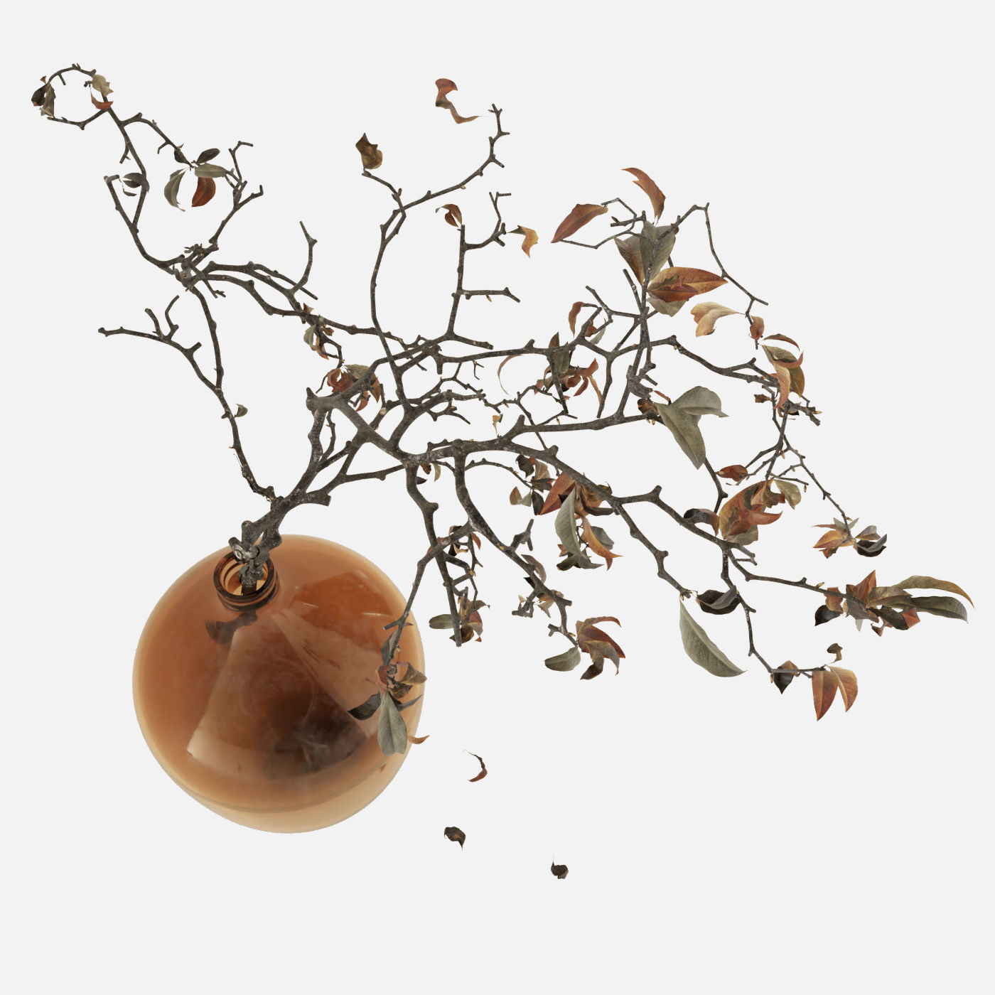 Branch in brown bottle 3D model_7