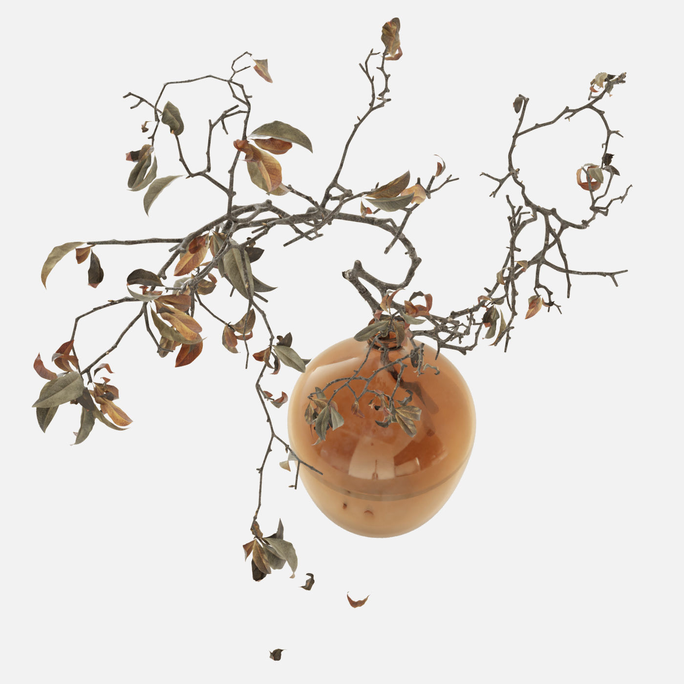 Branch in brown bottle 3D model_6