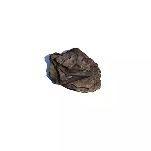 Bark Chip 3D Scan Free 3D model