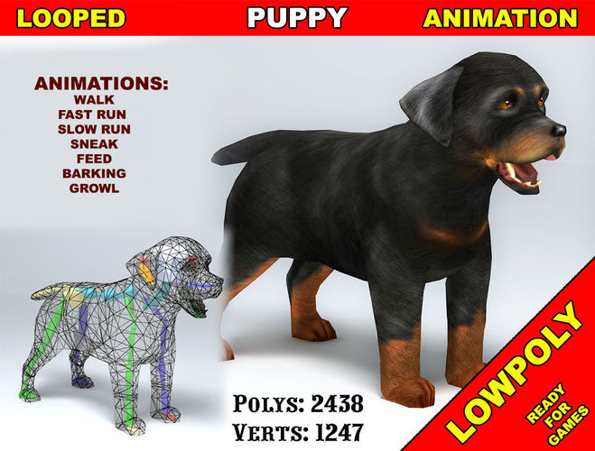 Puppy Rottweiler Low-poly 3D model