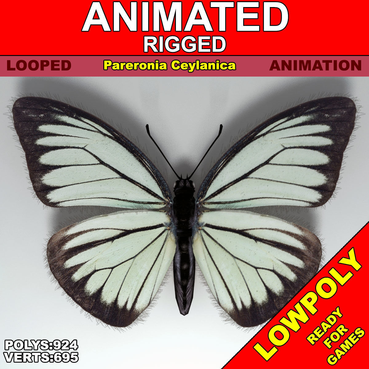Butterfly - PareroniaCeylanica Low-poly 3D model_0