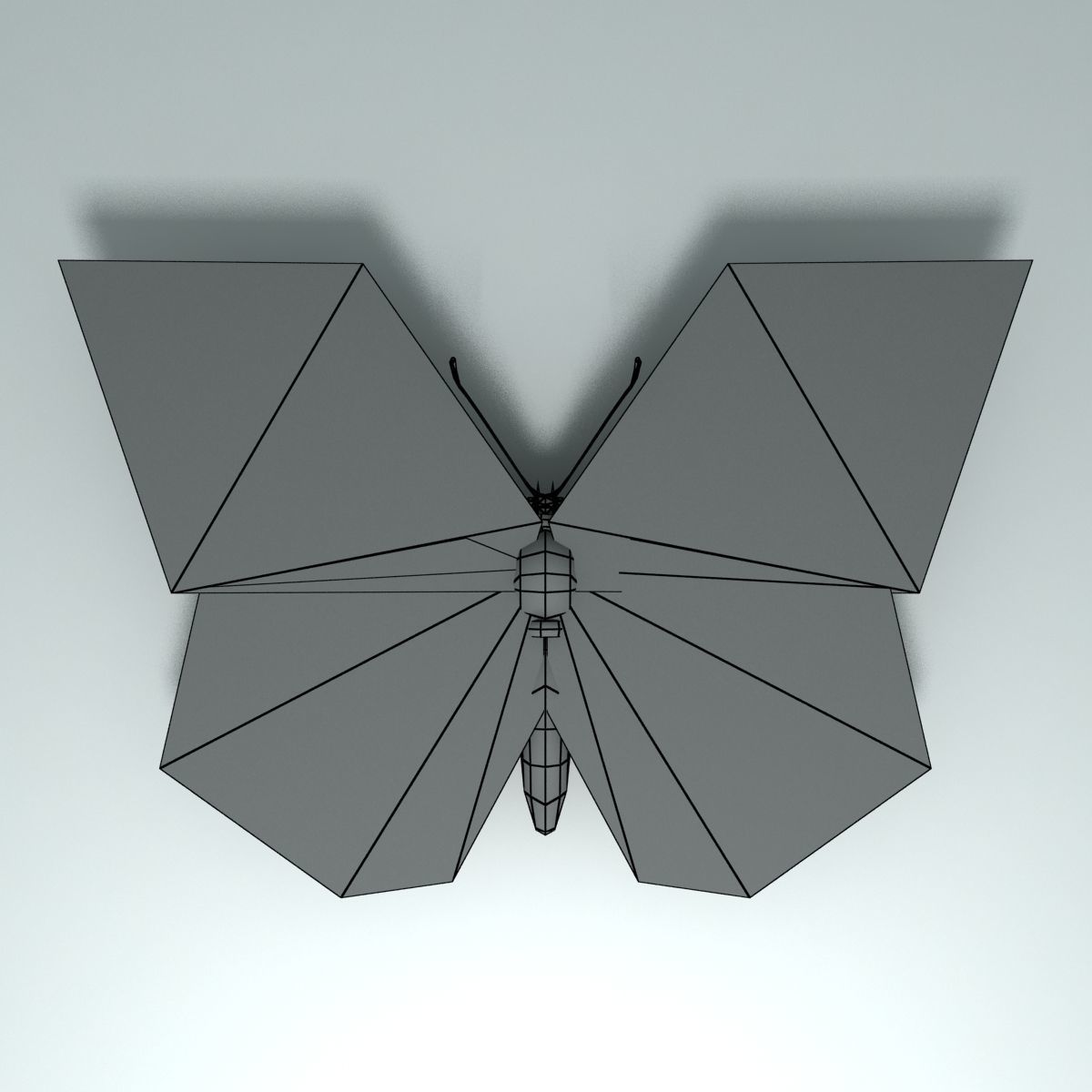 Butterfly - PareroniaCeylanica Low-poly 3D model_5