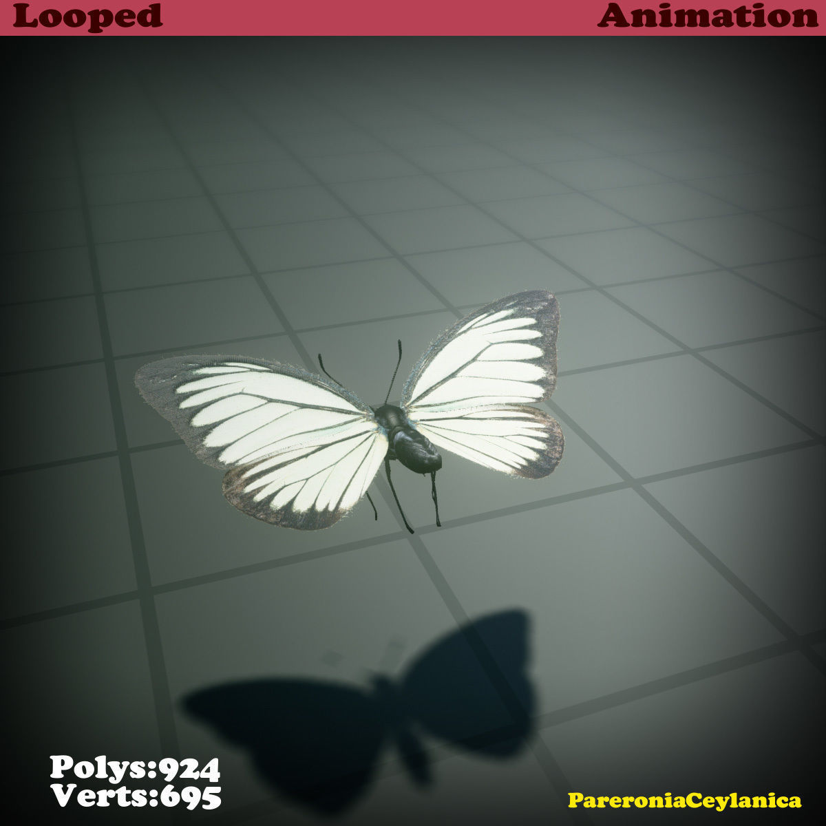 Butterfly - PareroniaCeylanica Low-poly 3D model_17