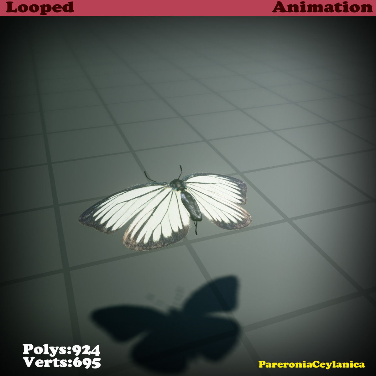 Butterfly - PareroniaCeylanica Low-poly 3D model_27