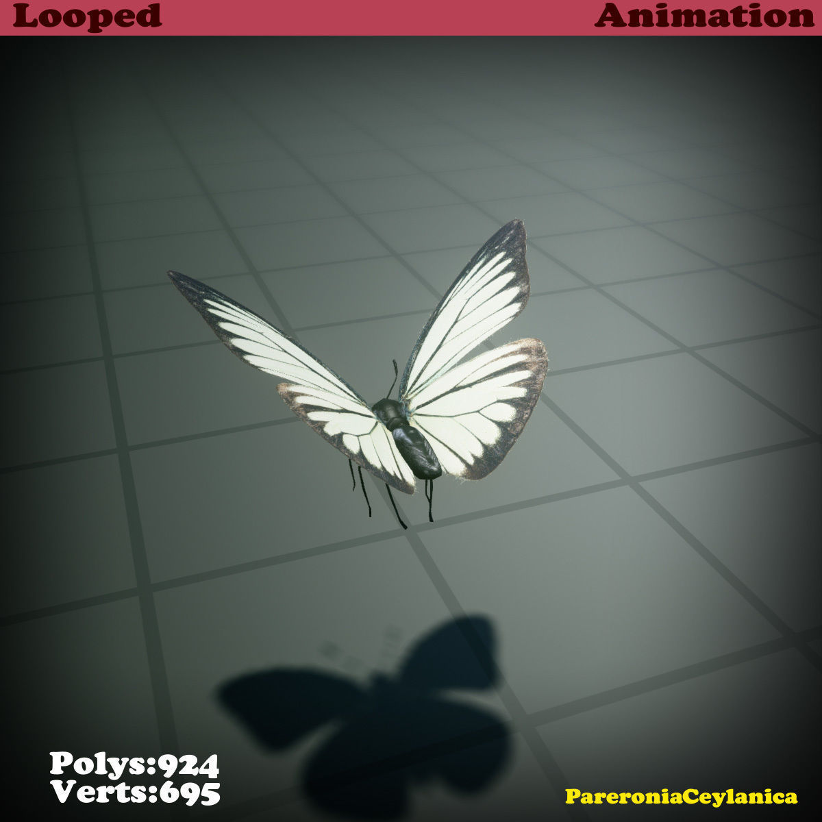 Butterfly - PareroniaCeylanica Low-poly 3D model_25