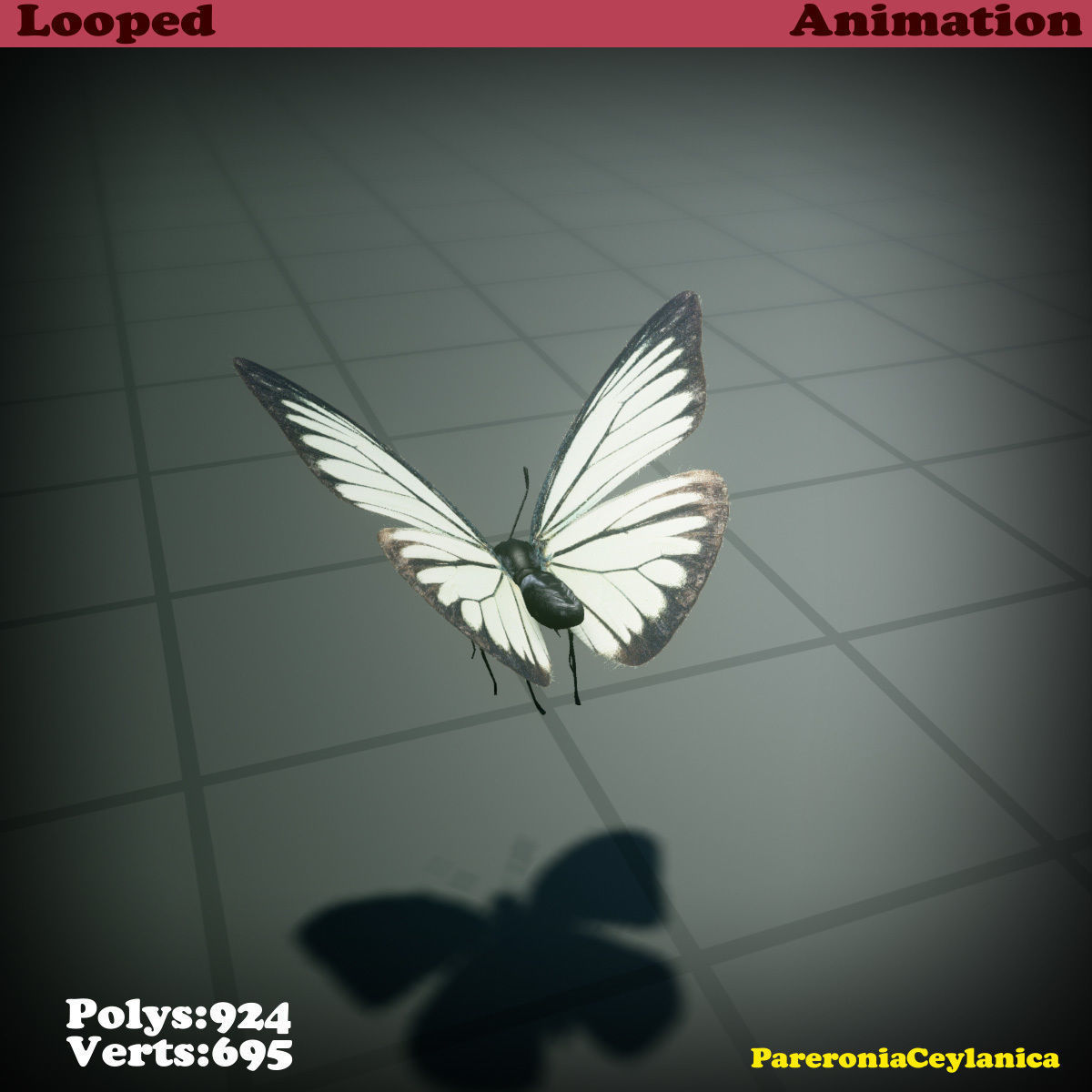 Butterfly - PareroniaCeylanica Low-poly 3D model_20