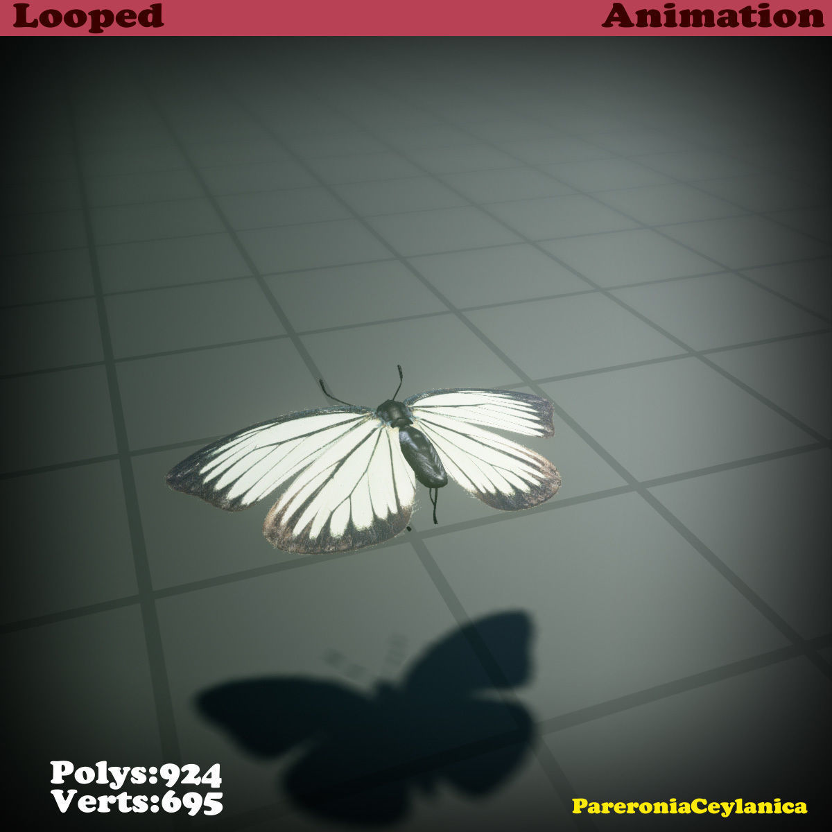 Butterfly - PareroniaCeylanica Low-poly 3D model_26