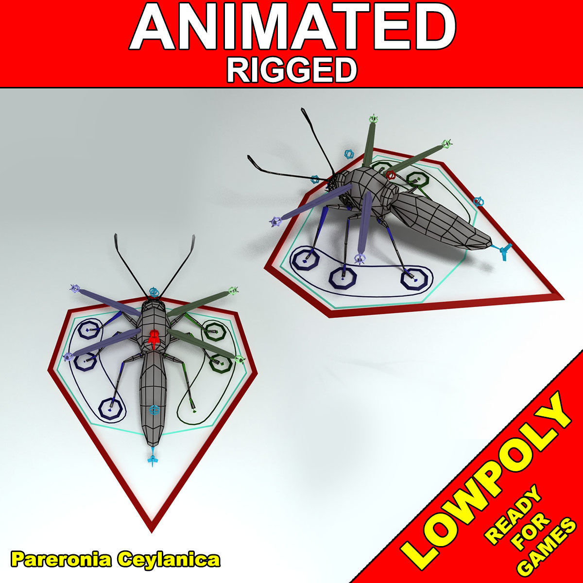 Butterfly - PareroniaCeylanica Low-poly 3D model_2