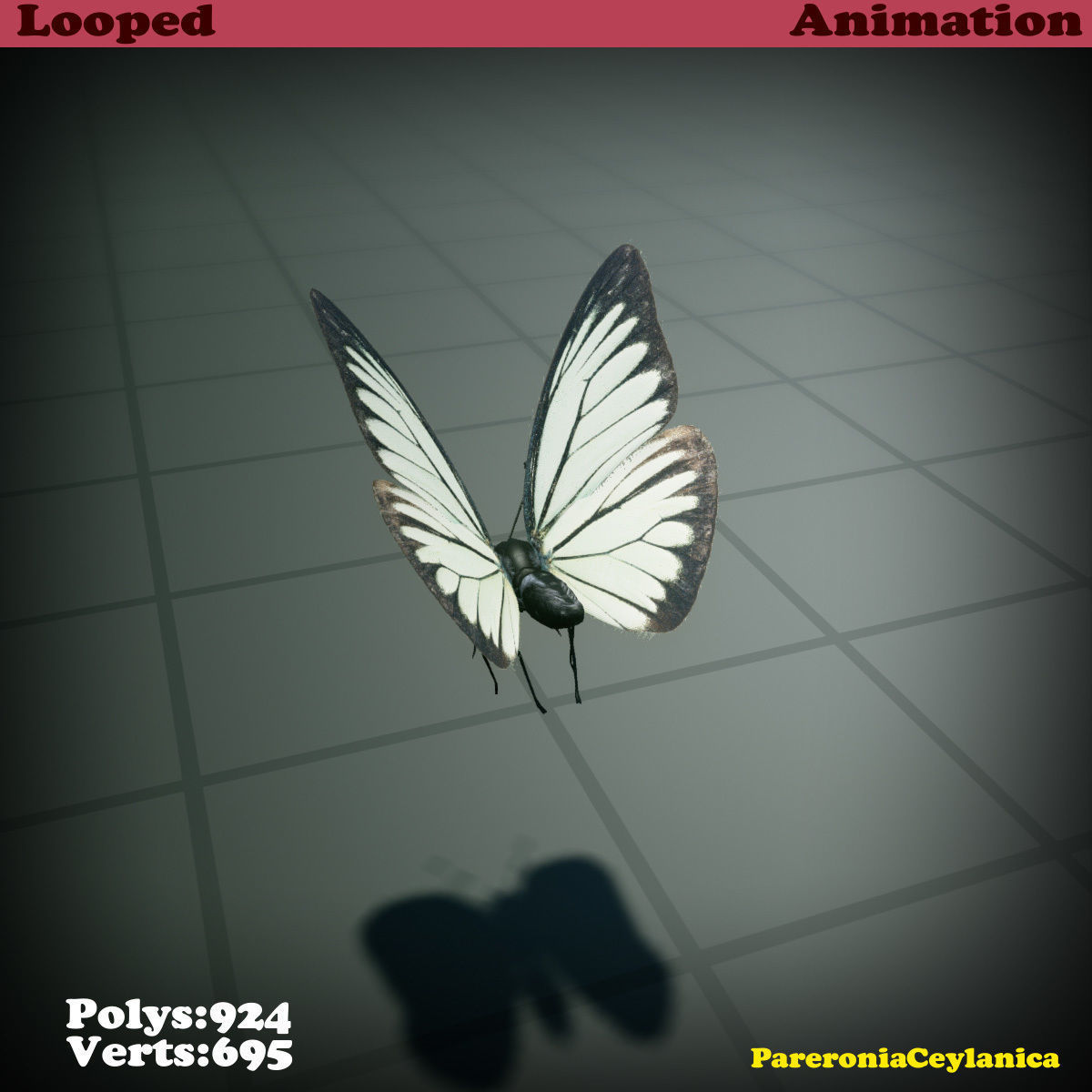 Butterfly - PareroniaCeylanica Low-poly 3D model_18