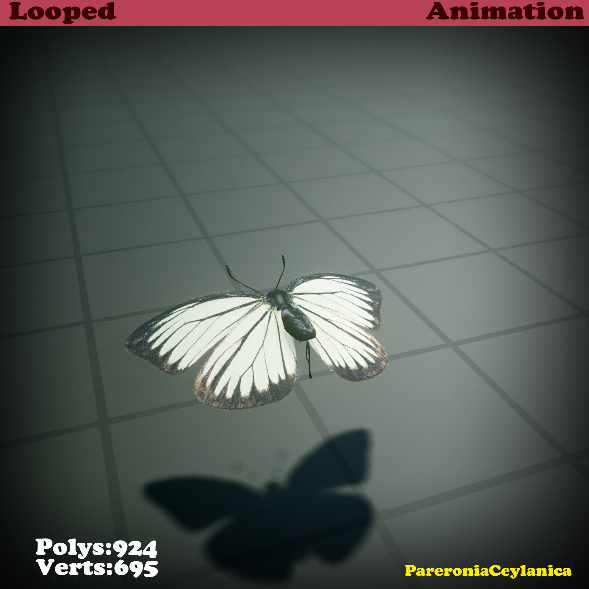 Butterfly - PareroniaCeylanica Low-poly 3D model_23