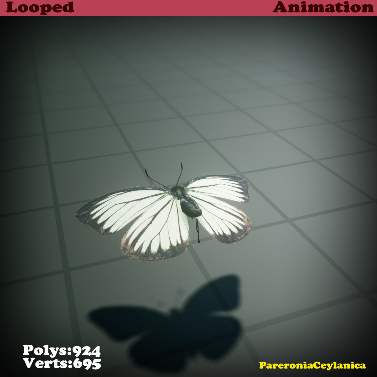 Butterfly - PareroniaCeylanica Low-poly 3D model_21