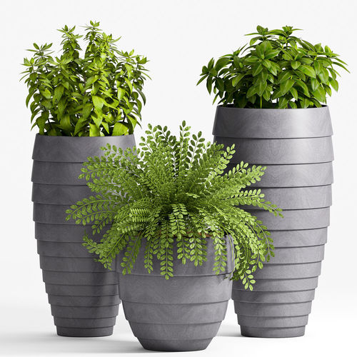  Decorative plant set-18 3D model