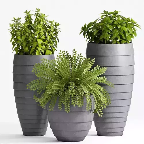  Decorative plant set-18