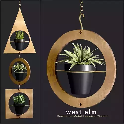  Decorative plant set-19