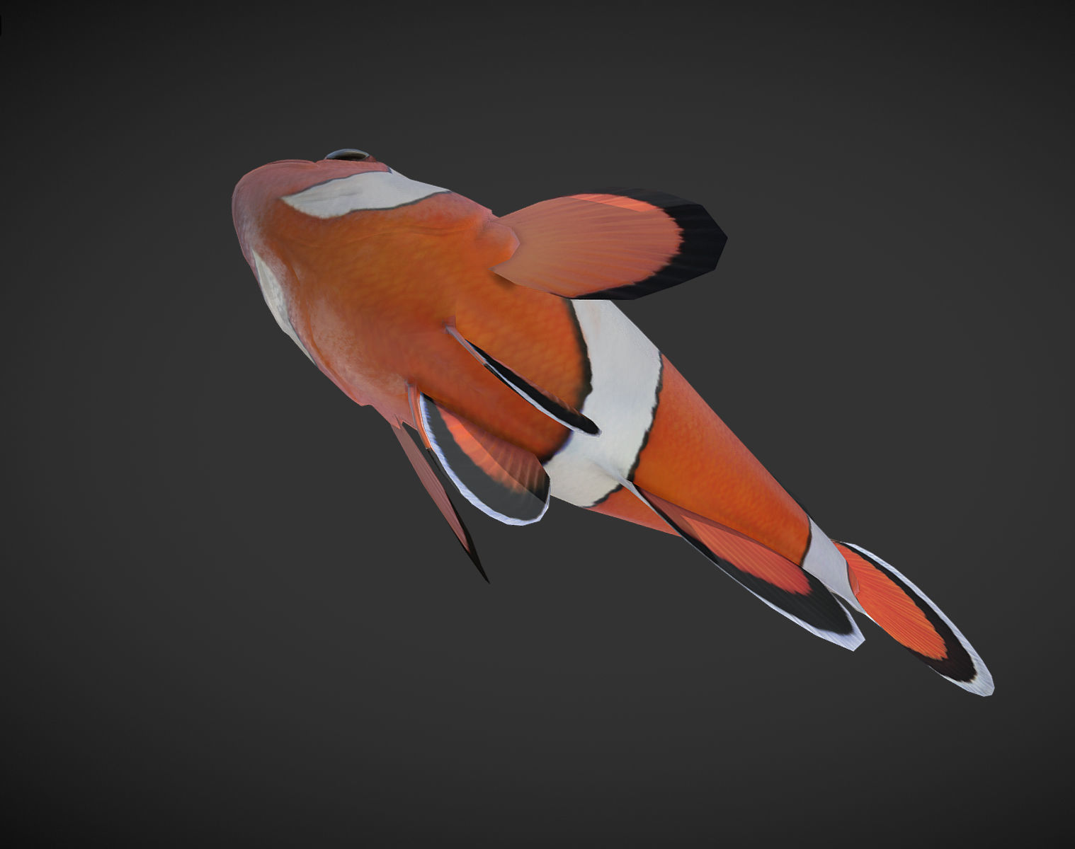  Clown Fish Low-poly 3D model_3