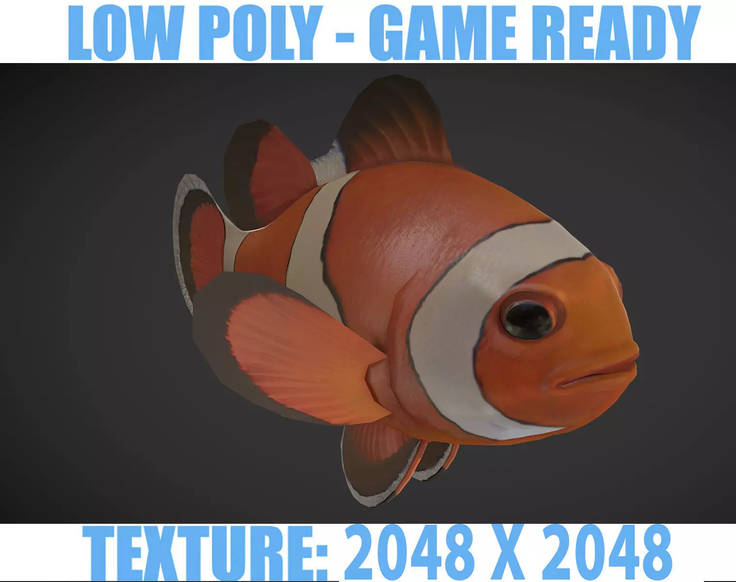  Clown Fish Low-poly 3D model_0