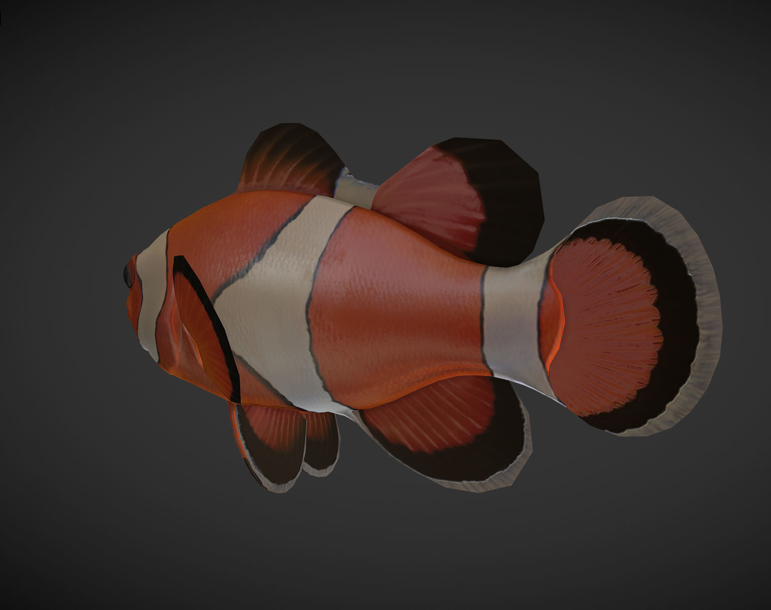  Clown Fish Low-poly 3D model_4