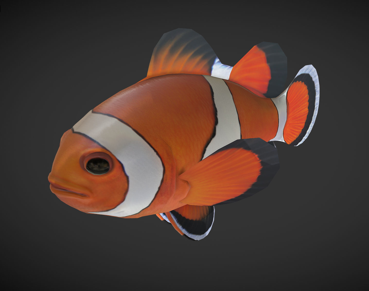  Clown Fish Low-poly 3D model_1