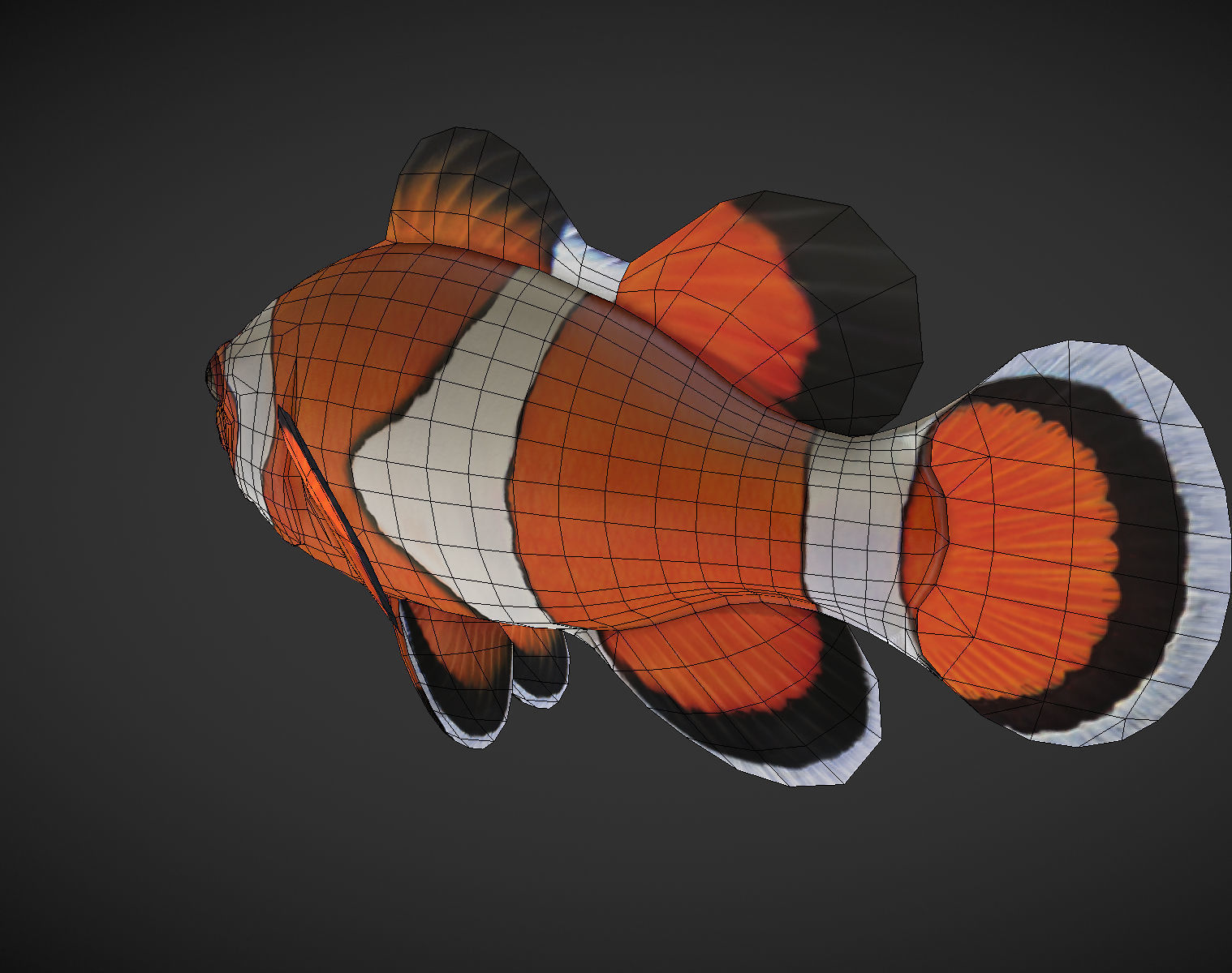  Clown Fish Low-poly 3D model_6