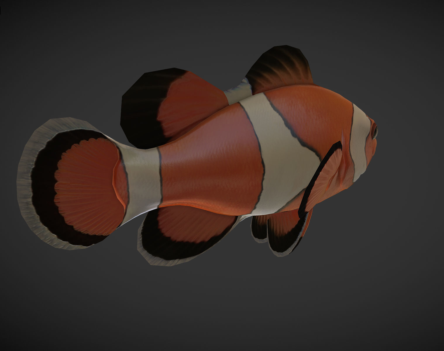  Clown Fish Low-poly 3D model_5