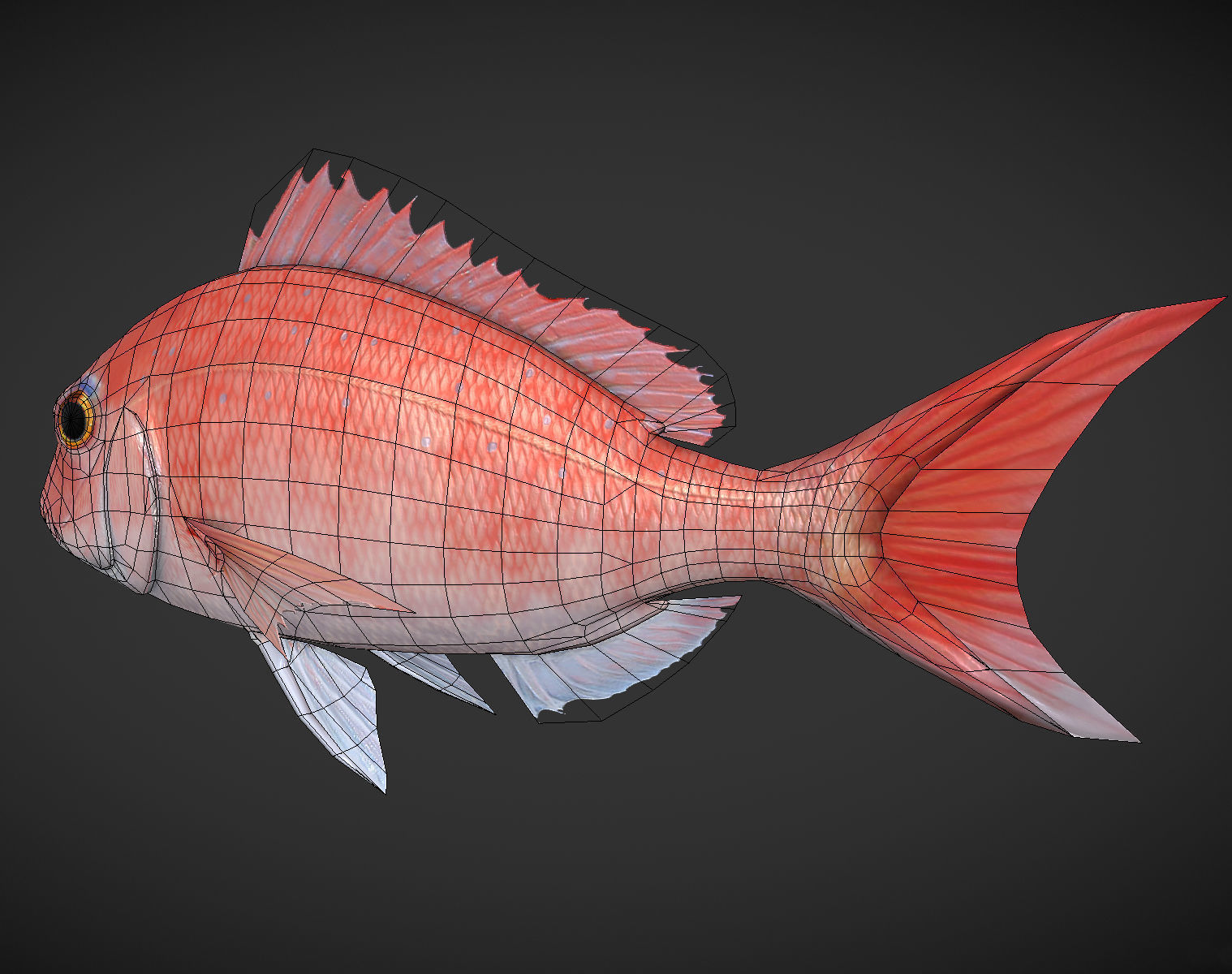 Carp 01 Low-poly 3D model_6