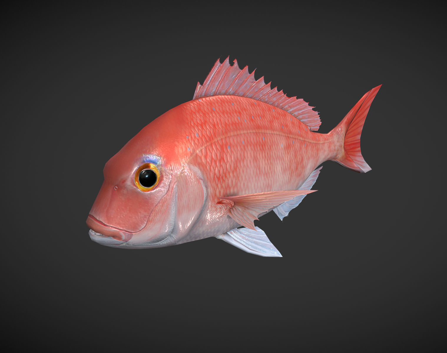 Carp 01 Low-poly 3D model_1