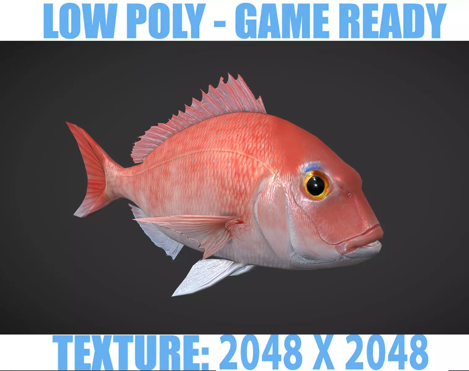 Carp 01 Low-poly 3D model_0