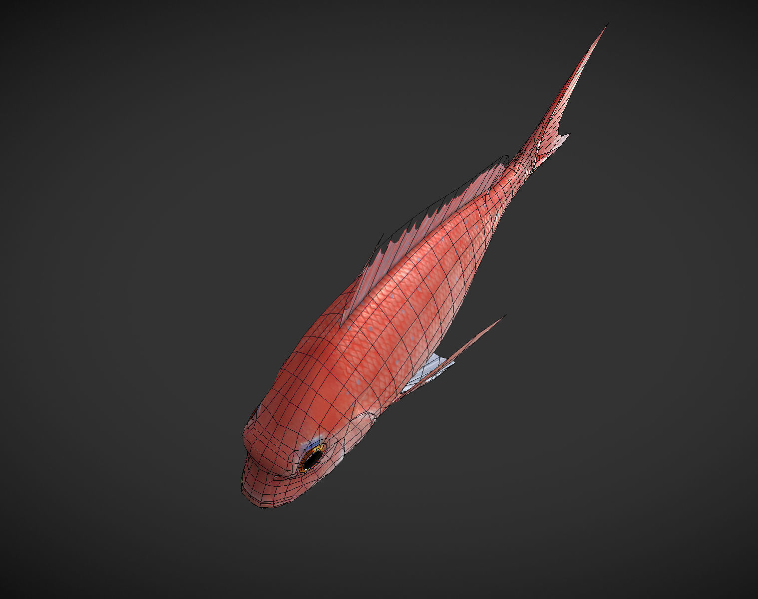 Carp 01 Low-poly 3D model_8