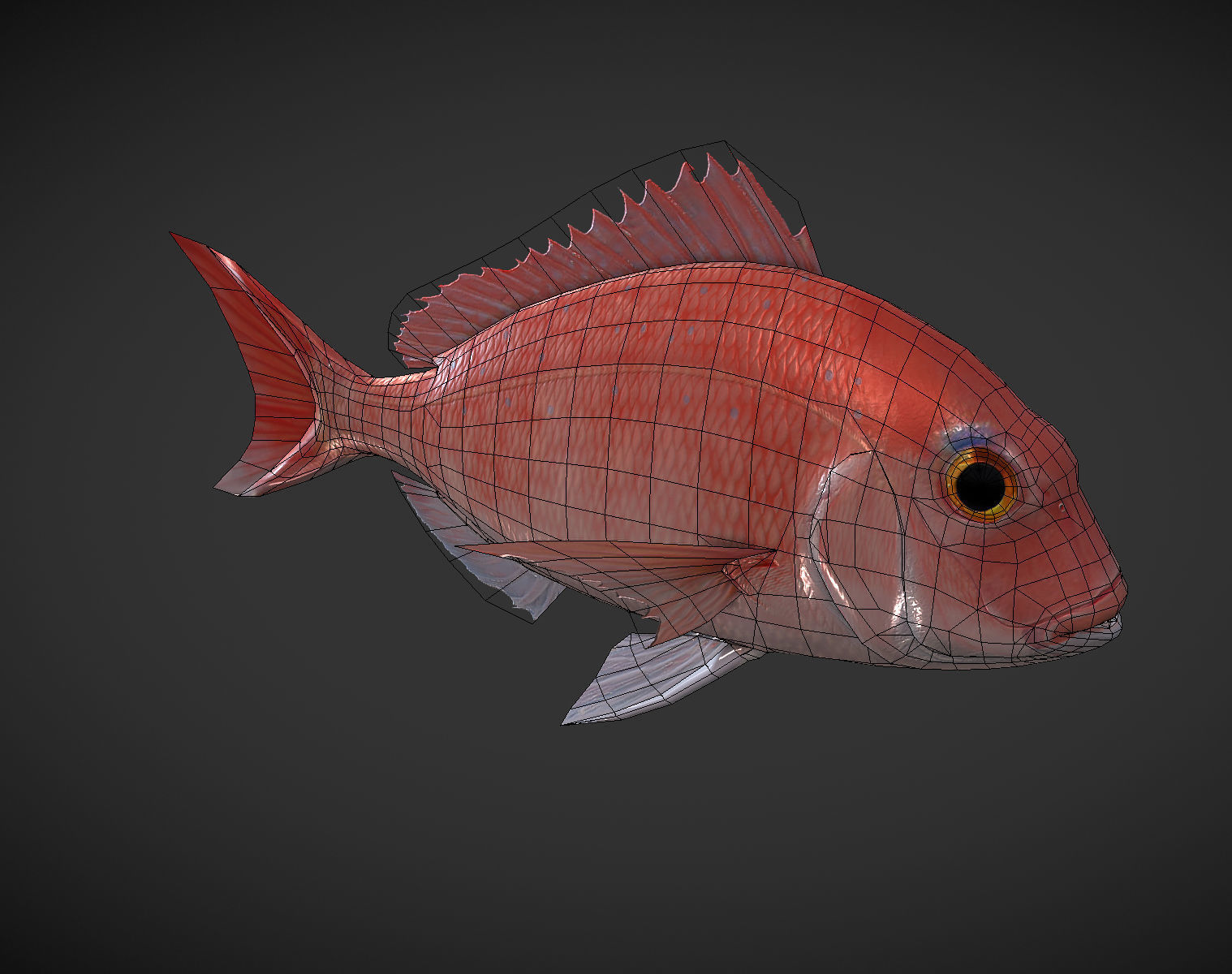 Carp 01 Low-poly 3D model_5