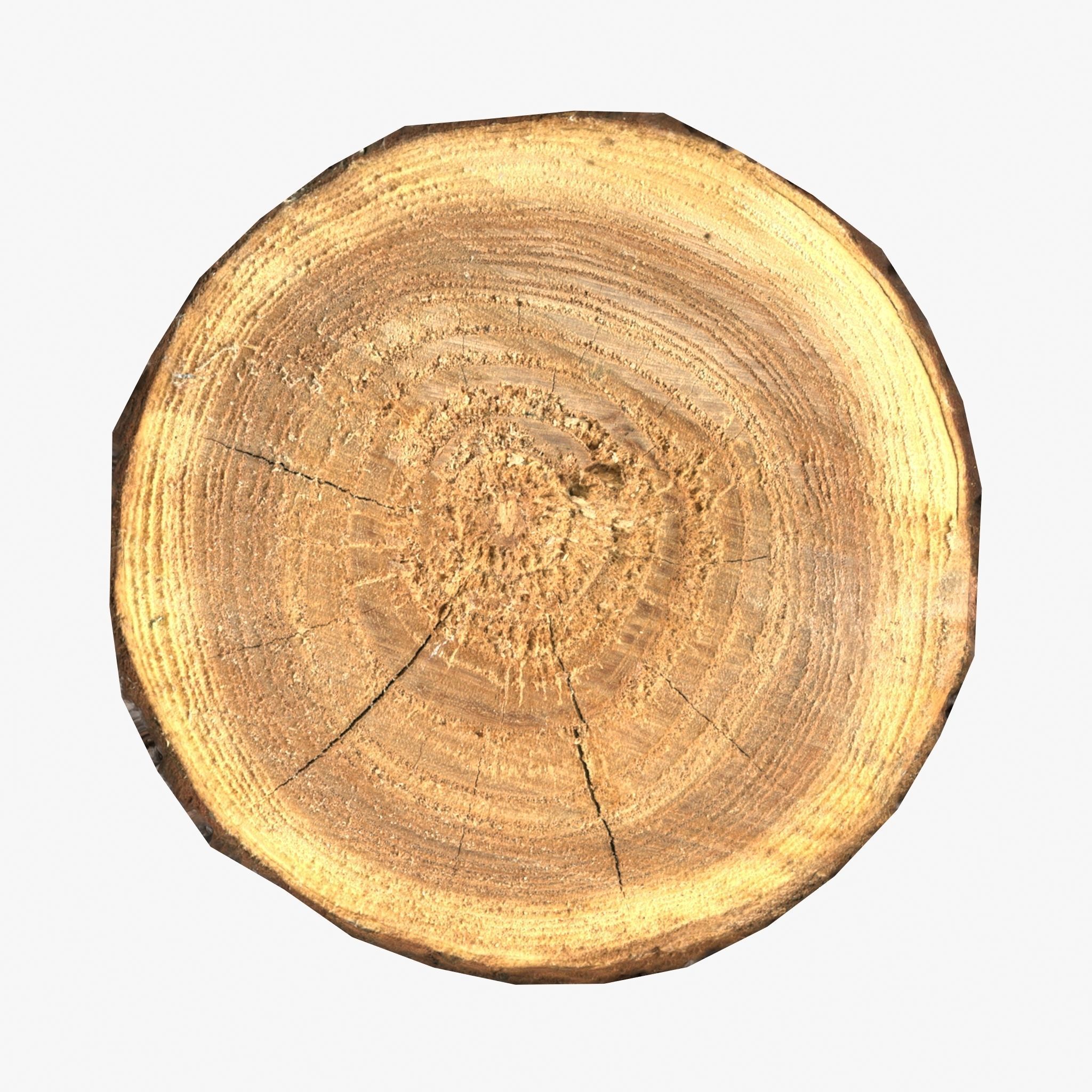 Wood Log Slice Low-Poly Low-poly 3D model_4