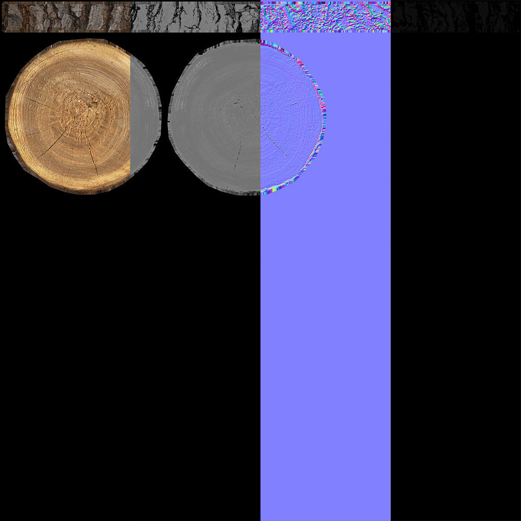 Wood Log Slice Low-Poly Low-poly 3D model_13