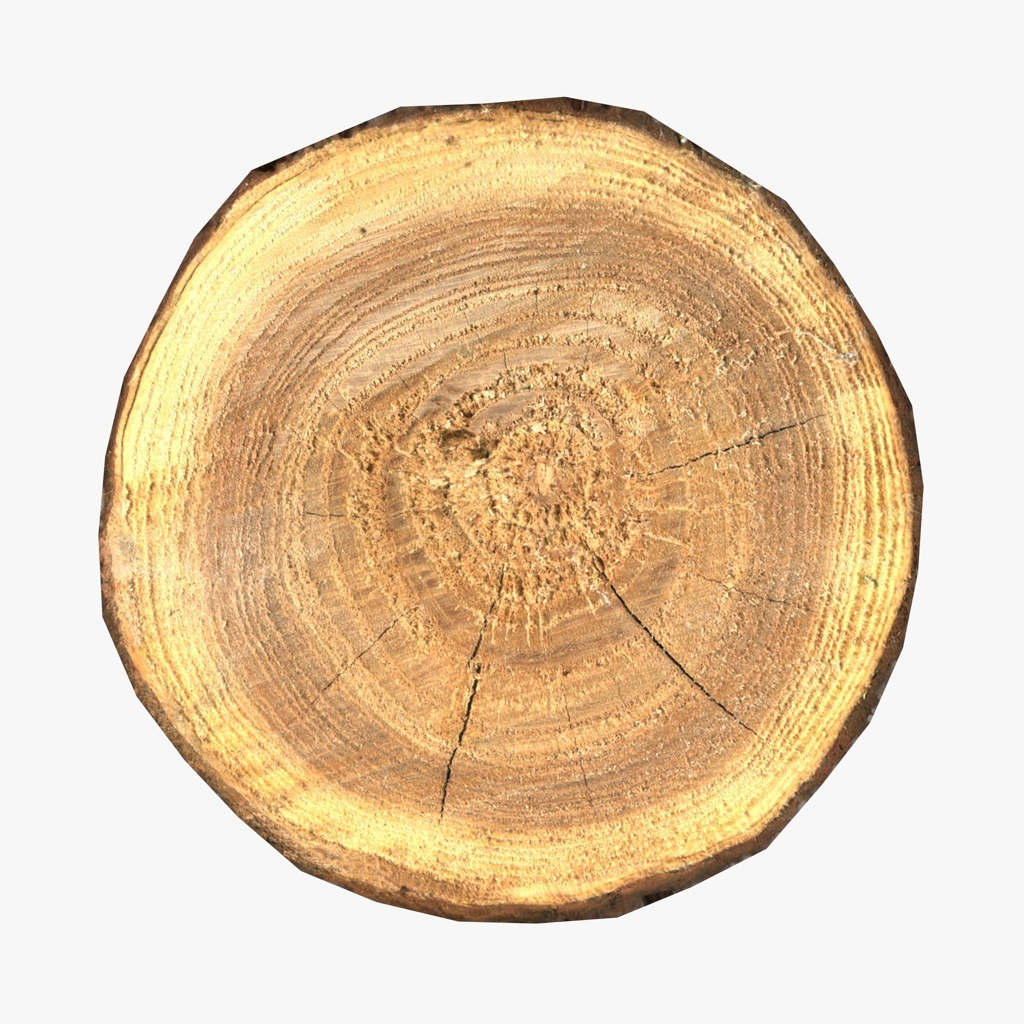 Wood Log Slice Low-Poly Low-poly 3D model_5