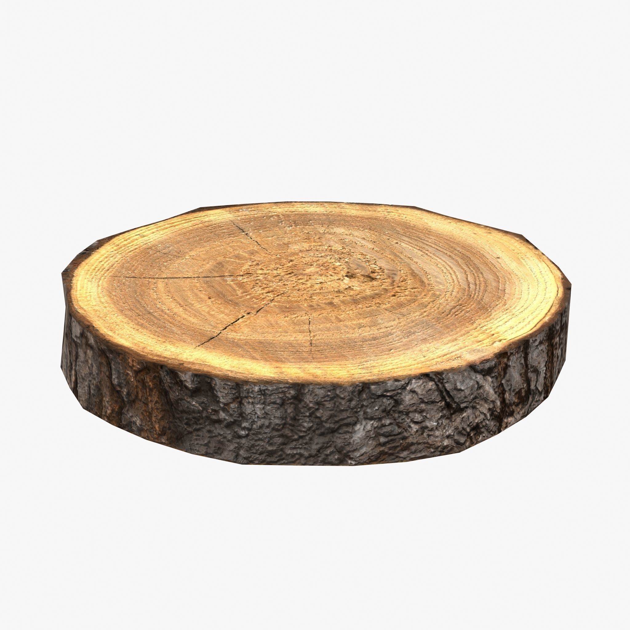 Wood Log Slice Low-Poly Low-poly 3D model_8