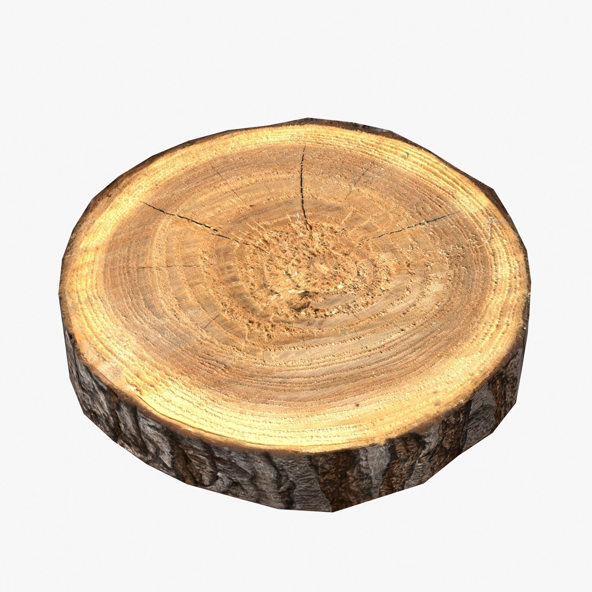 Wood Log Slice Low-Poly Low-poly 3D model_2