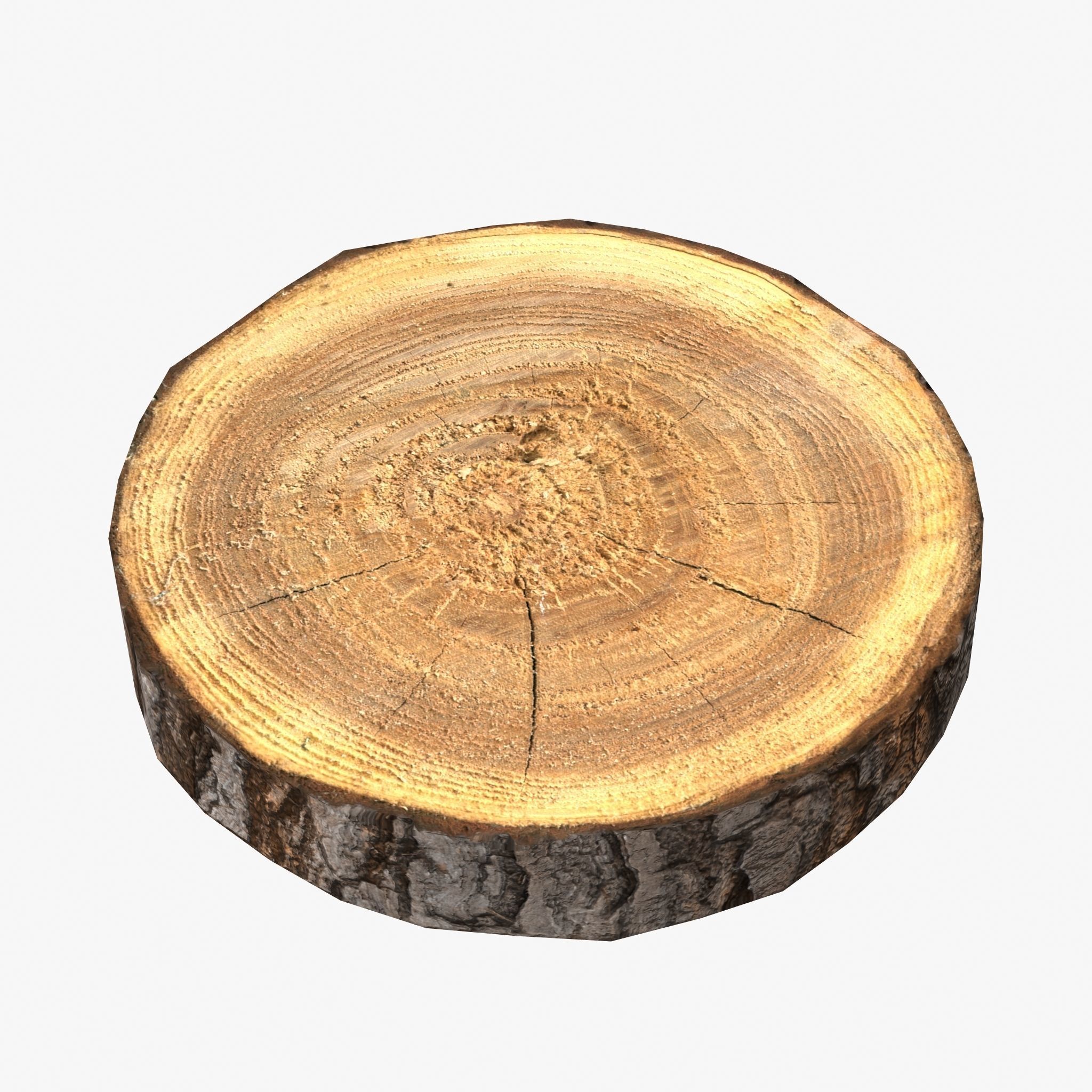 Wood Log Slice Low-Poly Low-poly 3D model_3