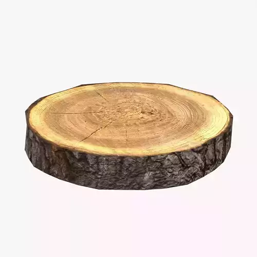 Wood Log Slice Low-Poly