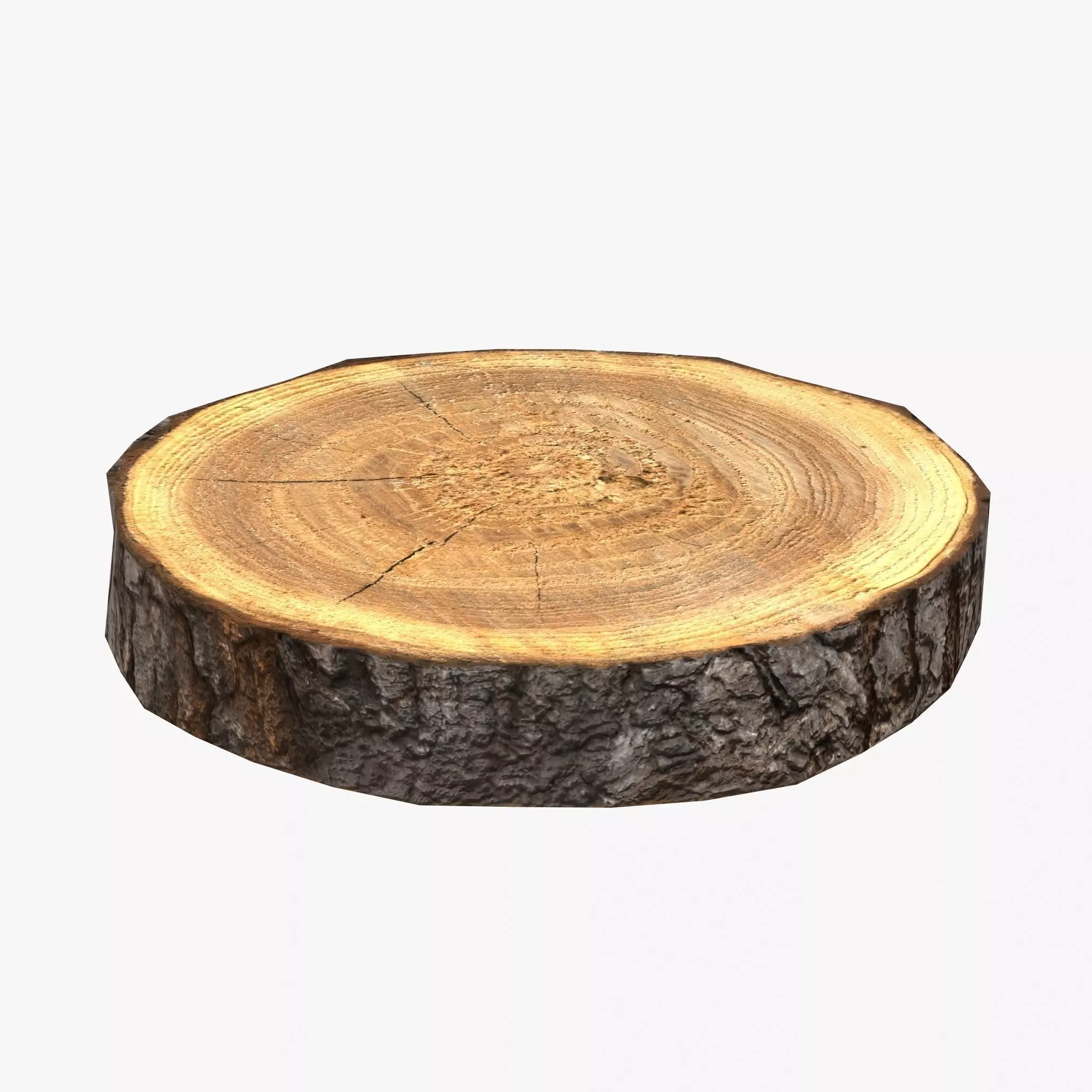 Wood Log Slice Low-Poly Low-poly 3D model_0