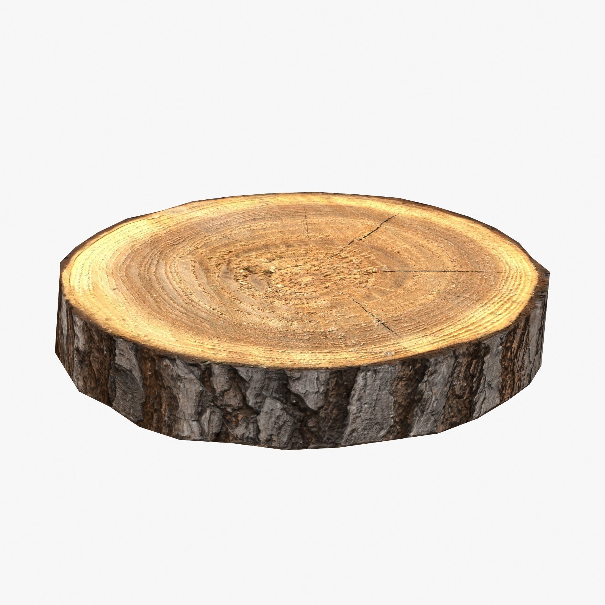 Wood Log Slice Low-Poly Low-poly 3D model_1