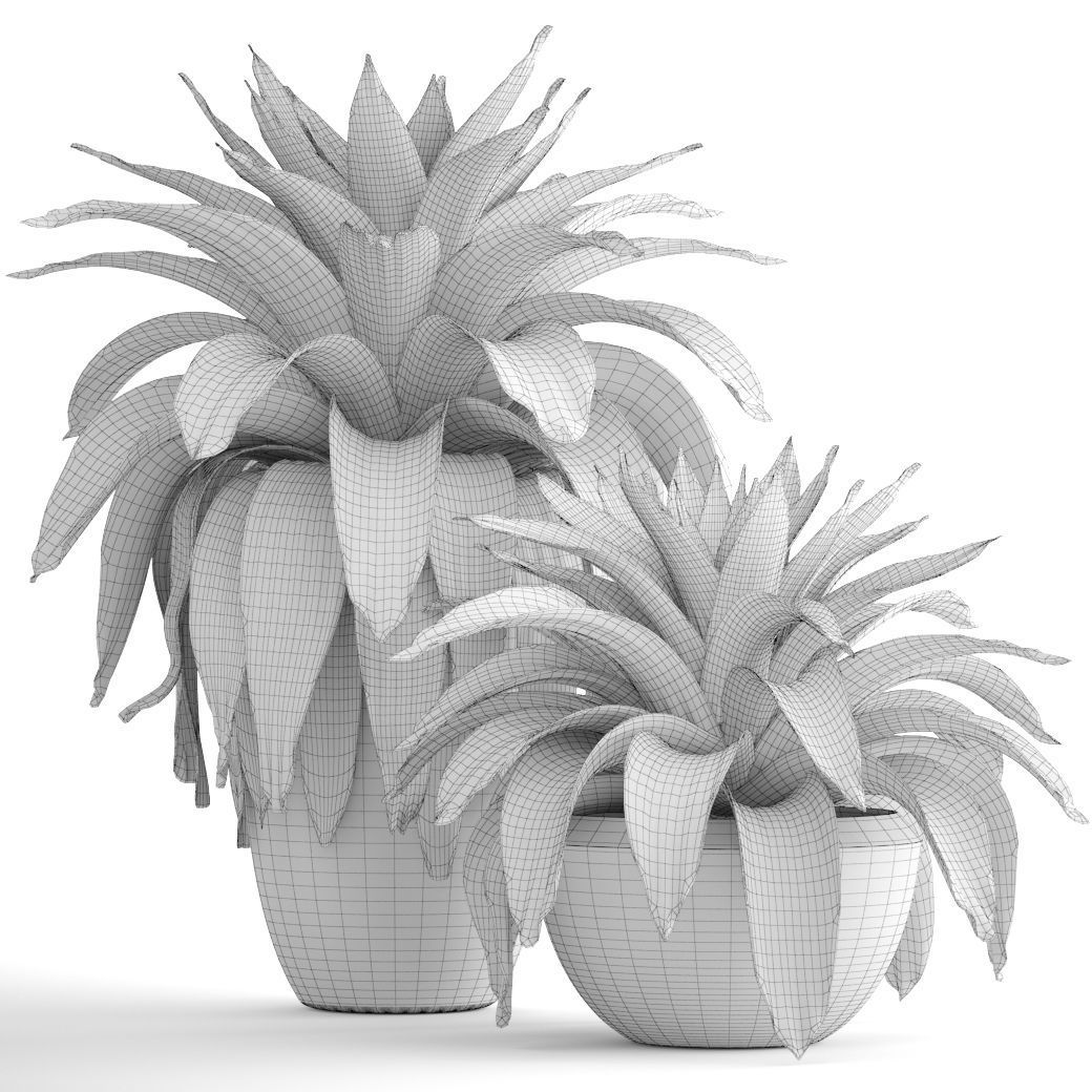Tropical plant shrubs 3D model_7