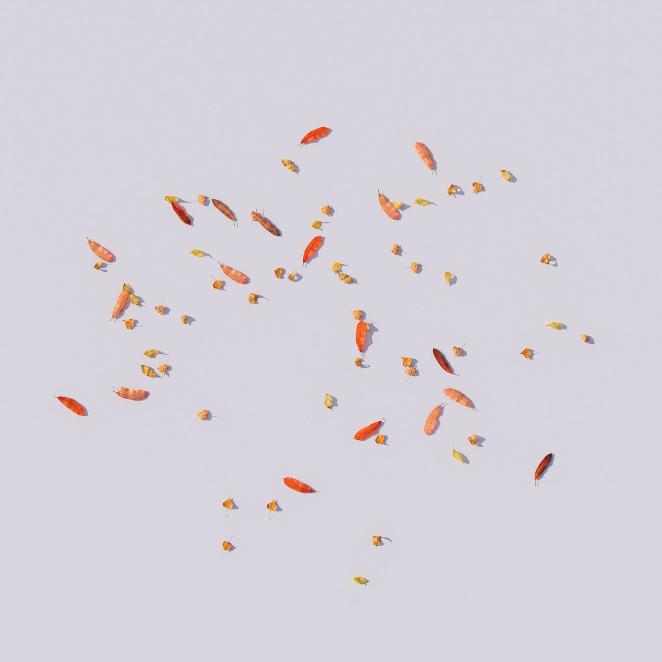 Autumn Leaves set 3D model_25