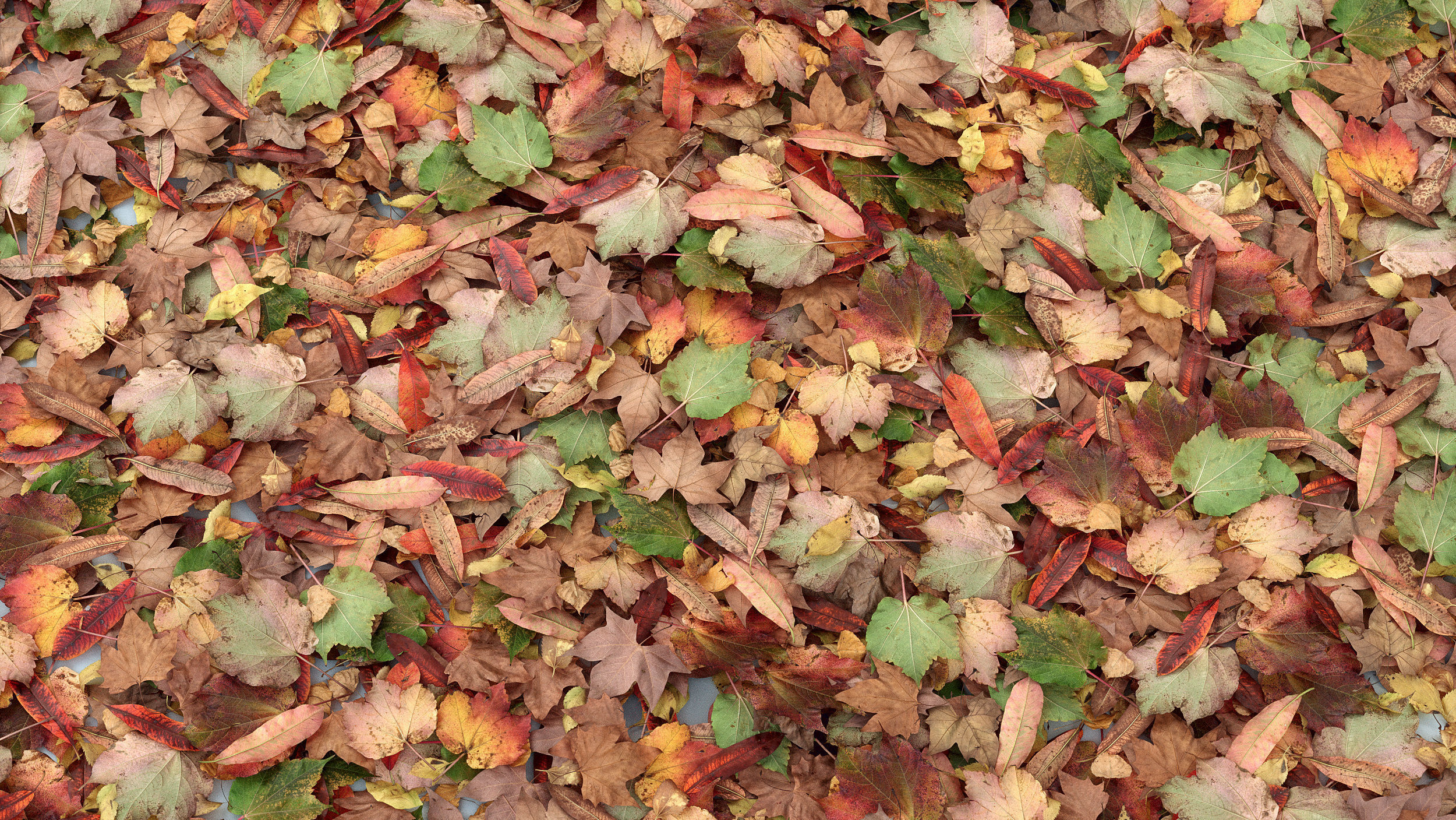 Autumn Leaves set 3D model_2