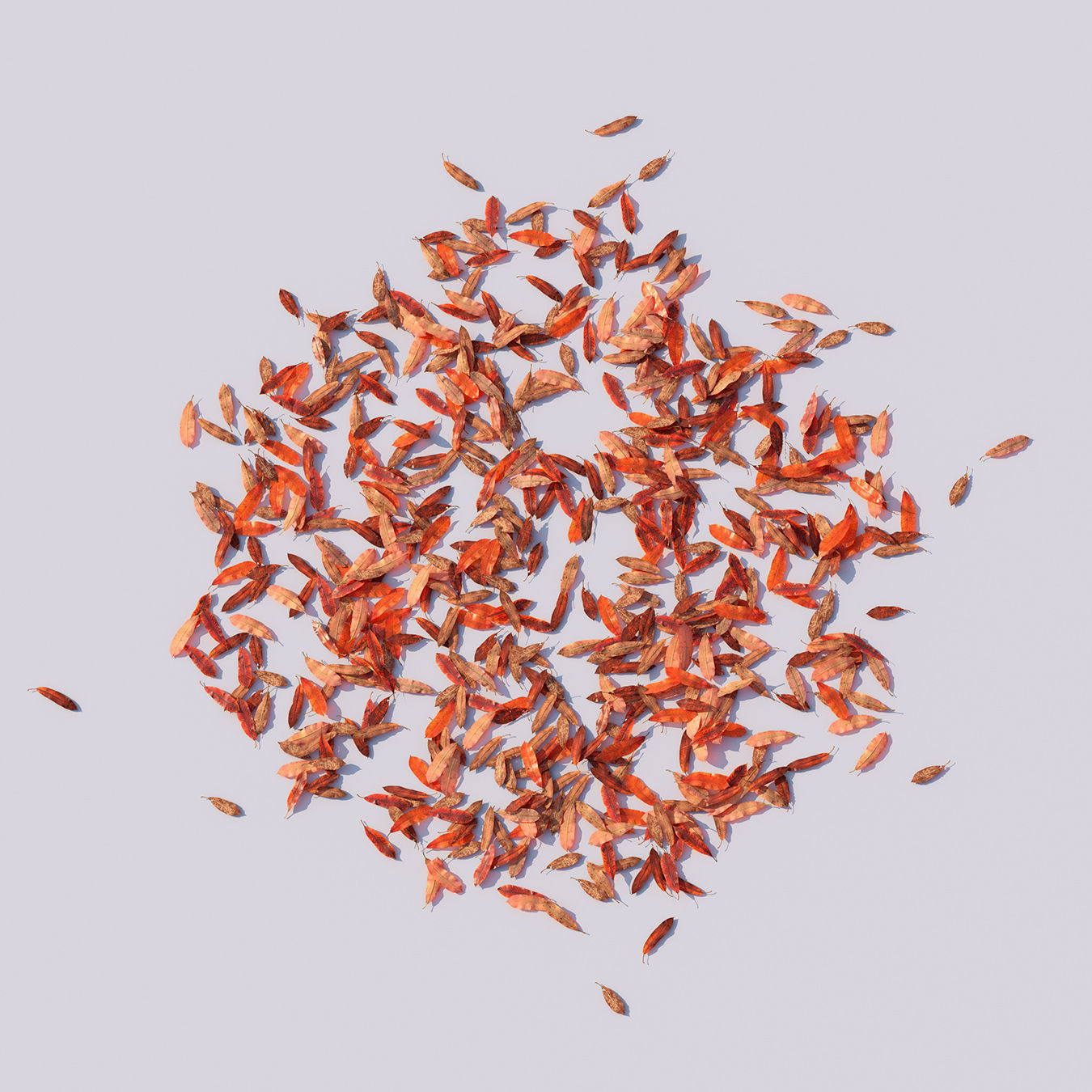 Autumn Leaves set 3D model_30
