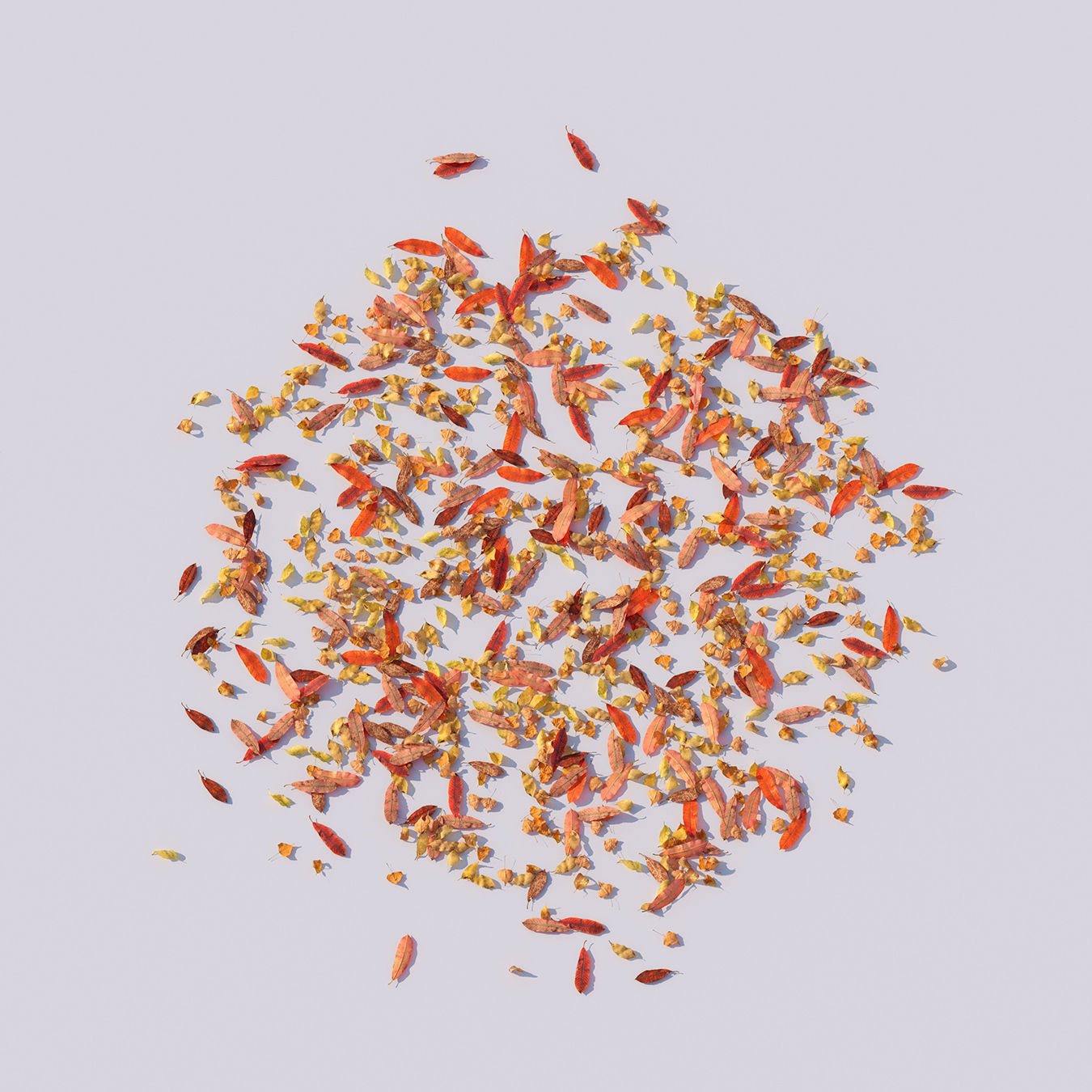 Autumn Leaves set 3D model_29
