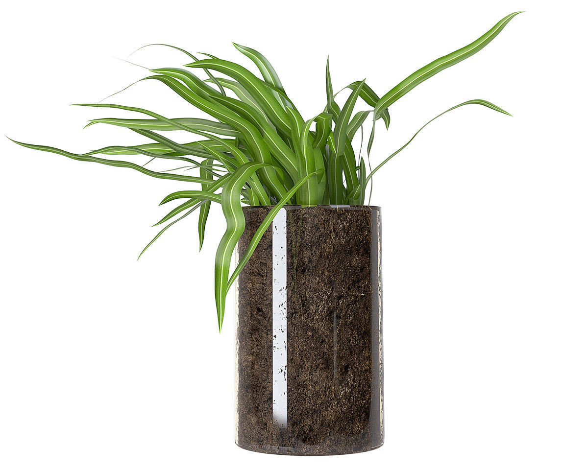 Accessories set 10 3D model_2