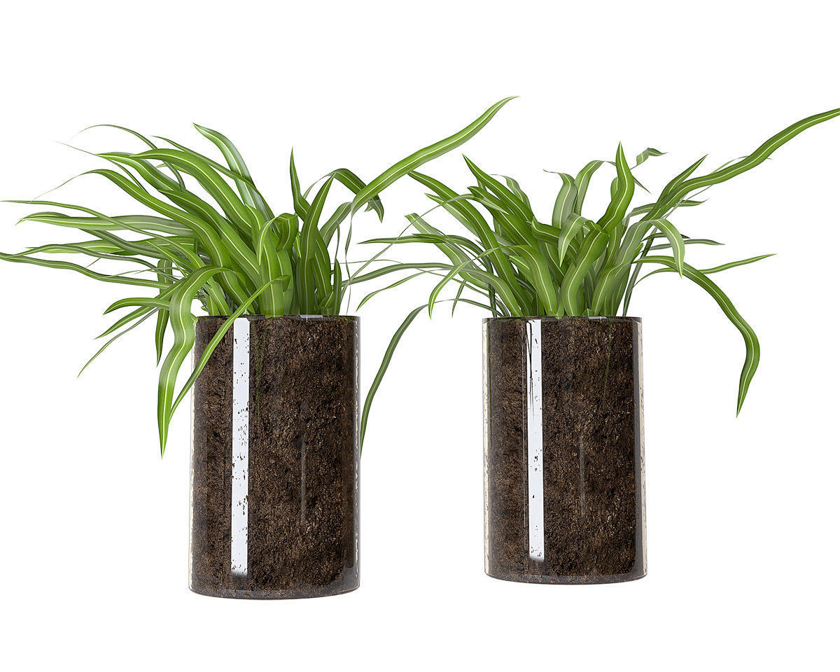 Accessories set 10 3D model_1