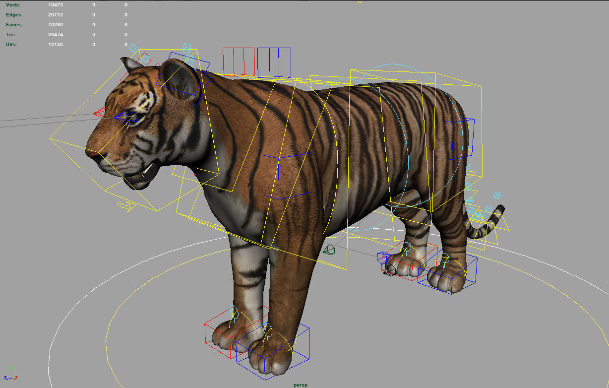 Rigged Tiger  3D model_4