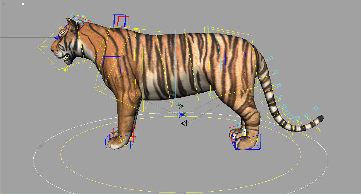 Rigged Tiger  3D model_3