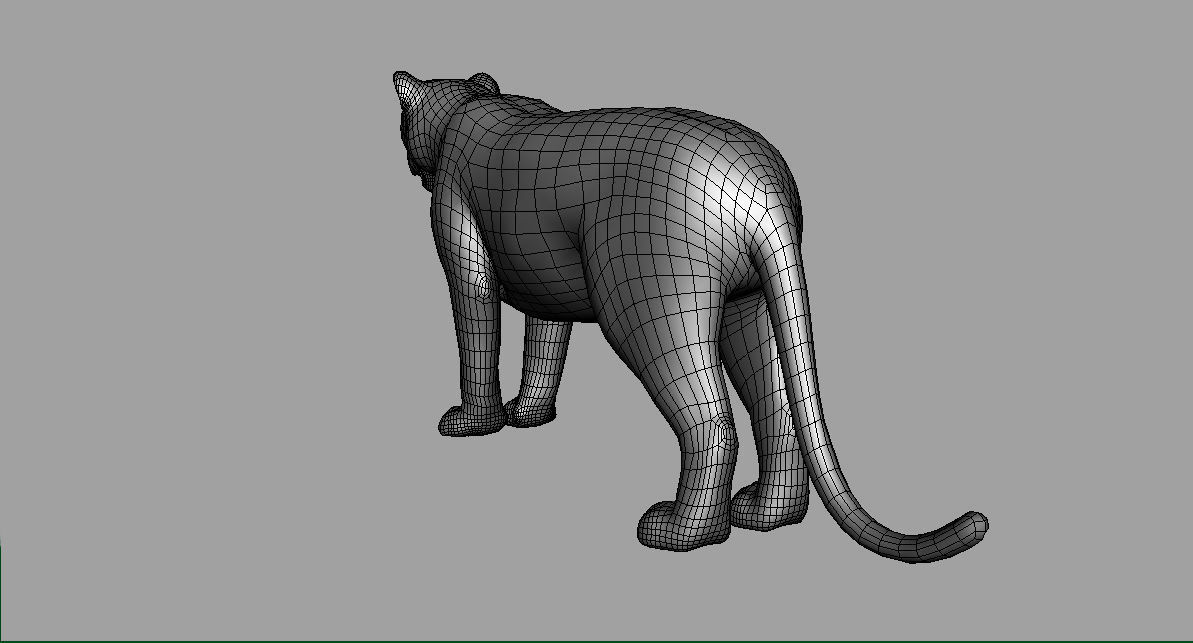 Rigged Tiger  3D model_7