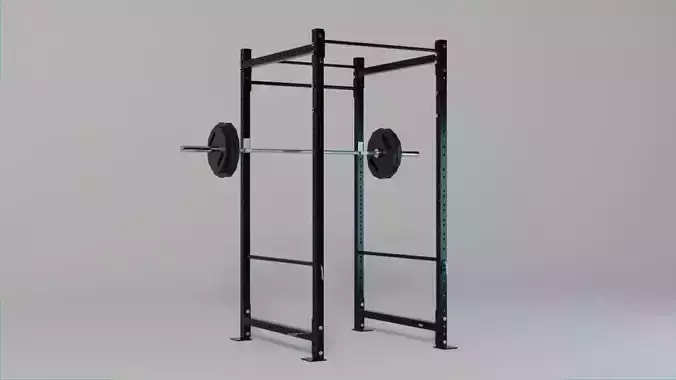Squat Rack and Loaded Olympic Barbell - Gym Equipment 