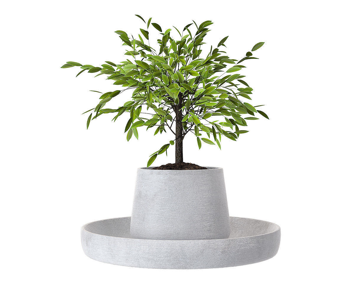 Accessories set 12 3D model_1